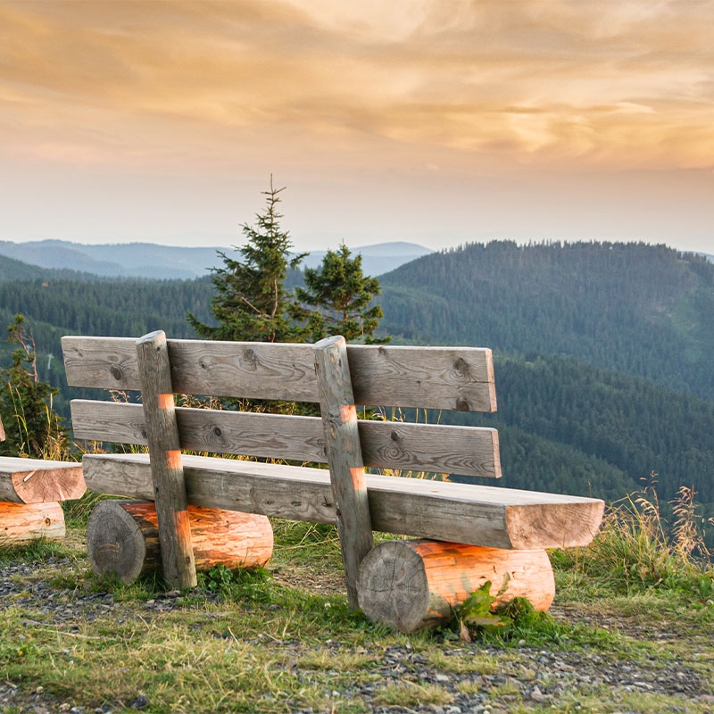 Schwarzwald